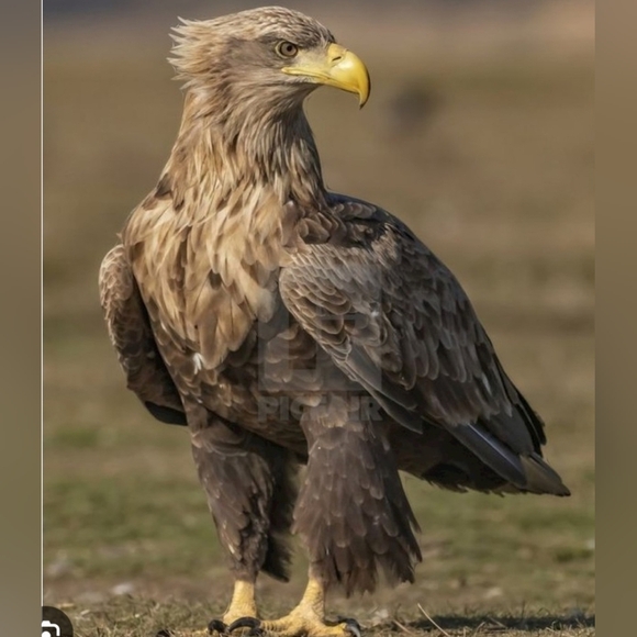 I'm featured today - Picture 8 of 15